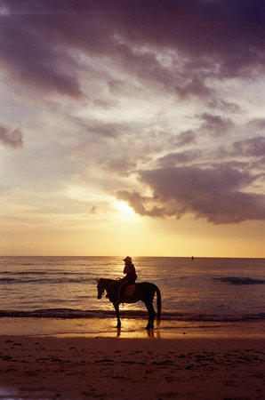 Silhouette of a man riding a horse on the beach at sunset in Gili Air, Baliの写真素材