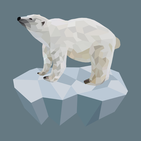 Polar bear low polyのイラスト素材