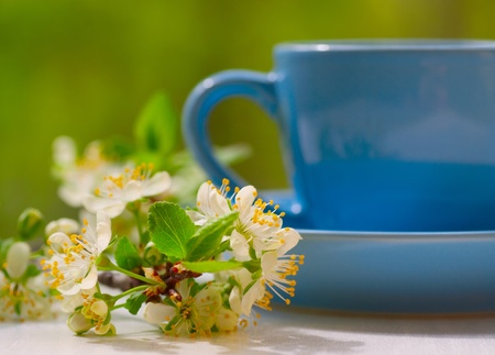 Cherry blossom flowers and the blue cup on the picnic tableの写真素材