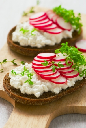 Radish sandwich with watercress saladの写真素材
