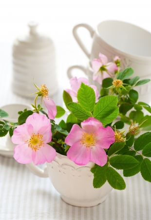 Flowers of wild rose in the cup on the tableの写真素材