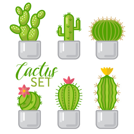 Cartoon Cactus set isolatedのイラスト素材