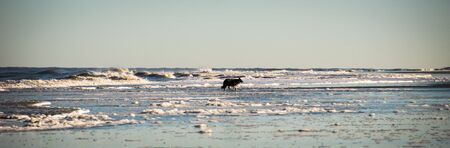 calm and rough north seaの写真素材