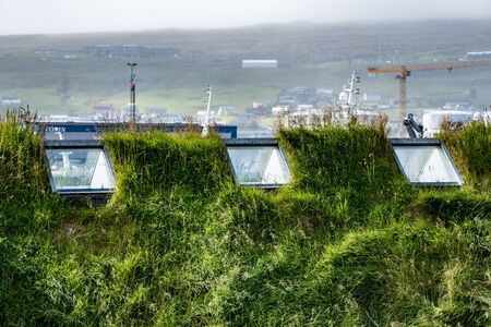 windows in the grass roofの写真素材