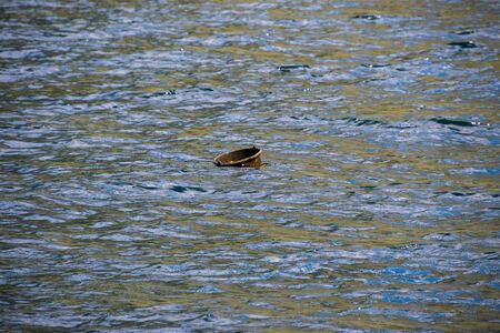 bucket floating int he waterの写真素材