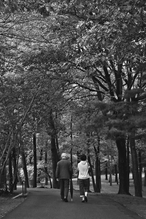 A seniour couple walking in the parkの写真素材