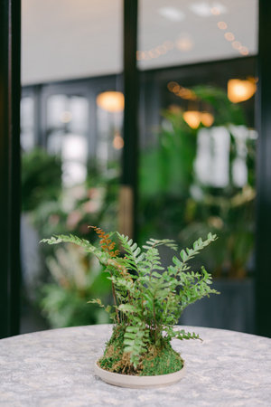 A small potted fern sits gracefully on a stone table, surrounded by vibrant green foliage within a...