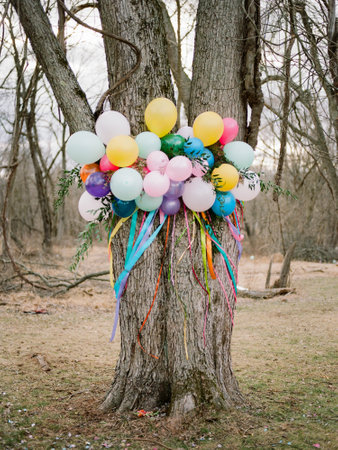 A variety of colorful balloons are tied to a large tree in a forest clearing during early spring. The scene captures a festive atmosphere with ribbons flowing from the balloons.の写真素材
