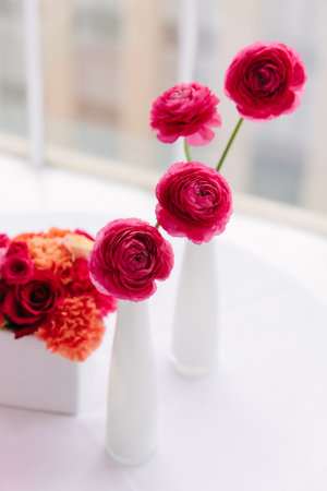 Vibrant ranunculus flowers stand in stylish vases, adding color to a bright indoor space with more...