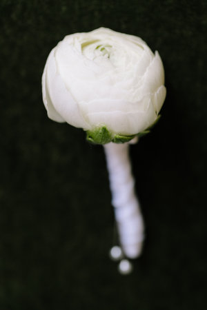 A beautiful white flower boutonniere rests against a dark backdrop, showcasing its delicate petals...