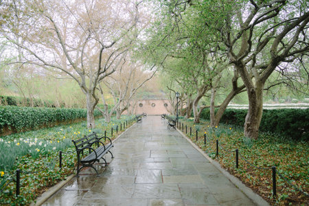 A tranquil path surrounded by lush trees and benches invites visitors to enjoy a peaceful stroll on a rainy day.の写真素材