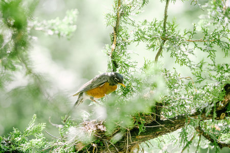 A small bird searches for food while perched on a green branch under sunlight in a forest.