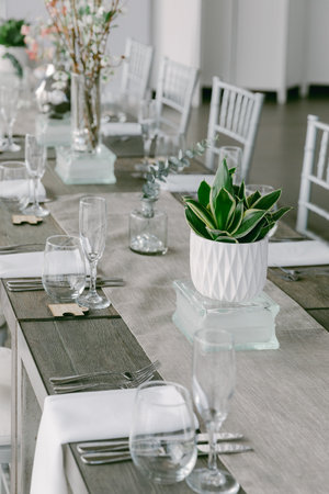 Tables are beautifully arranged with glassware and plants, creating a fresh and inviting atmosphere...