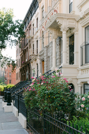 Charming brownstones line a tree-filled street with blooming roses, creating a vibrant neighborhood scene.の写真素材