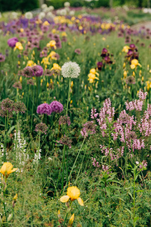 Vibrant wildflowers in a spring meadow create a beautiful landscape with diverse colors and species.