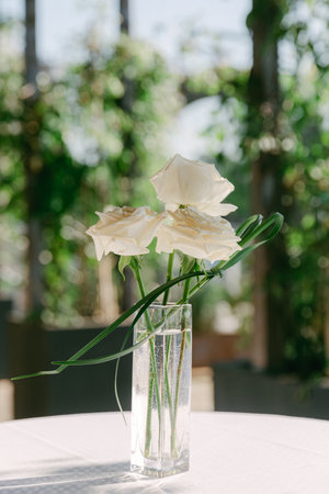 A bouquet of white roses in a modern vase enhances the serene atmosphere of a green garden setting.
