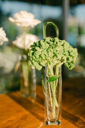 Hydrangea flowers arranged in a clear vase sit on a wooden table beside soft white blooms in a...
