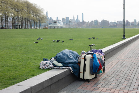 A suitcase rests against a park wall, surrounded by pigeons and overlooking a city skyline on a...