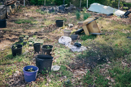 A backyard displays various plant pots scattered around, some with seedlings, amidst gardening tools...