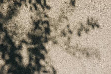 Shadows from foliage cast on a textured wall in bright sunlight during middayの写真素材