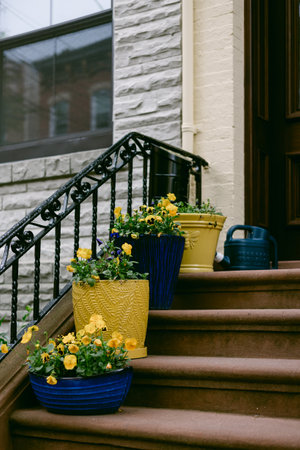 Colorful pots filled with yellow flowers line the steps of a brownstone, adding charm to the...