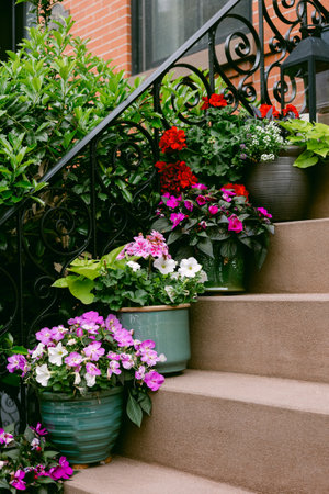 Colorful flower pots with blooming plants adorn the brick building's stairway, adding a welcoming touch.の写真素材