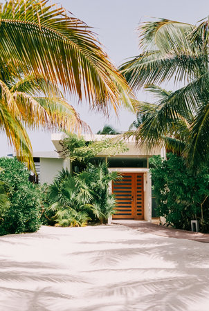 A stylish home set among vibrant palm trees and tropical plants, creating a peaceful retreat in a sunny climate.の写真素材