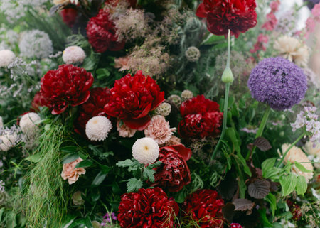 Bright red peonies and purple alliums form a vibrant floral arrangement at the spring garden event.の写真素材