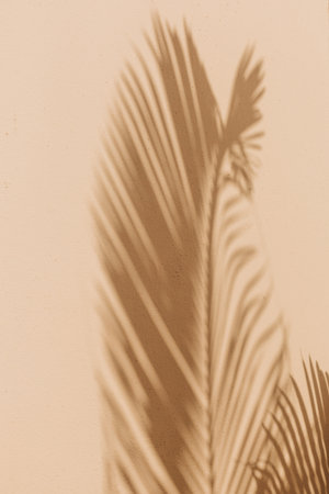 Soft shadows of a palm leaf create intricate patterns on a warm wall in the gentle light of the...