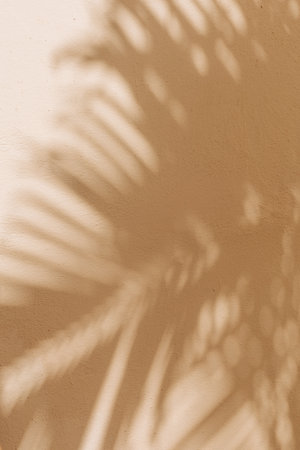 Delicate palm shadow overlays a warm-colored wall, showcasing nature's design and the beauty of...