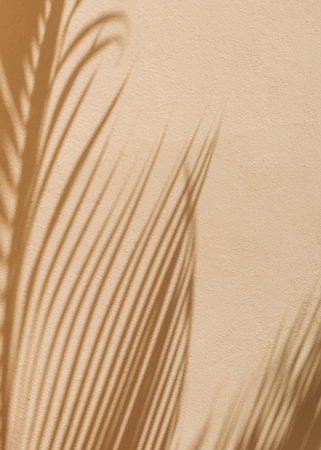 Sunlight casts intricate shadows from palm fronds, creating beautiful patterns on a wall's surface...