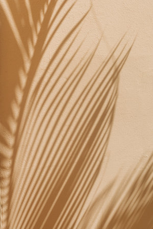 Palm leaf shadows create intricate patterns on a textured wall in soft afternoon light, adding a...