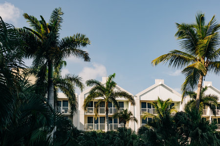 A beautiful resort surrounded by palm trees showcasing a peaceful atmosphere on a sunny day in a tropical location.の写真素材