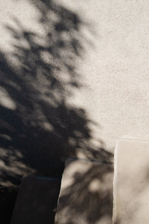 Shadows dance across a smooth wall as sunlight filters through nearby foliage, creating a serene atmosphere.の写真素材