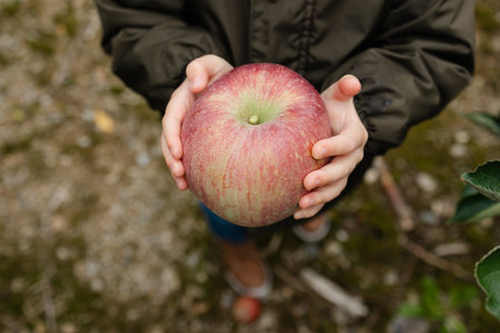 A child smiles while holding a fresh, ripe apple picked from the orchard. The surrounding area shows...