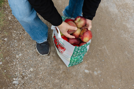 A person gathers a bag of fresh apples while standing on a dirt path in the countryside during fall.