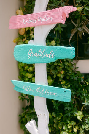 Wooden signs with motivational quotes are nestled in greenery, spreading positivity outdoors.