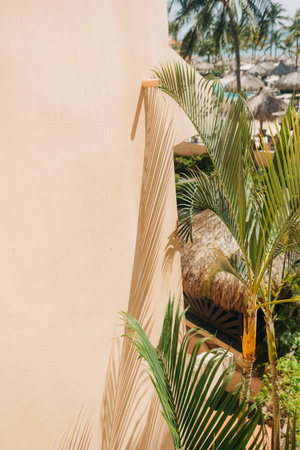 Soft shadows from palm leaves touch a warm wall at a seaside resort, creating a tranquil atmosphere...