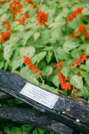 Bright orange blossoms stand out against green leaves in a peaceful garden, inviting visitors to...