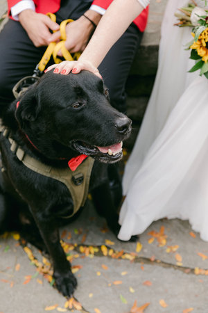 A black dog in a bow tie sits with a bride and groom at an outdoor venue adorned with autumn leaves.