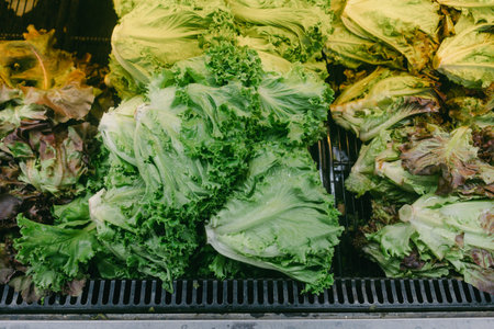 Bright green and red lettuce varieties arranged neatly at a market stall, inviting shoppers to...