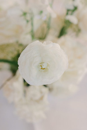 A close-up of a beautiful white flower gently nestled among soft, pastel-colored blooms, illuminated...