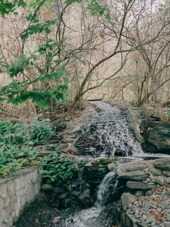 A tranquil stream cascades over stones, nestled among dense foliage in a peaceful outdoor location.