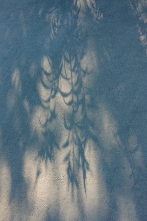 Leaves cast detailed shadows on a light background, showcasing nature's artistry under soft light.