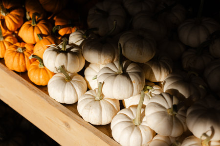 Bunches of white and orange pumpkins display on a wooden shelf in a market setting, showcasing autumn's bounty.の写真素材