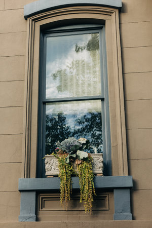 A charming window with a planter full of green succulents welcomes passersby in an urban...