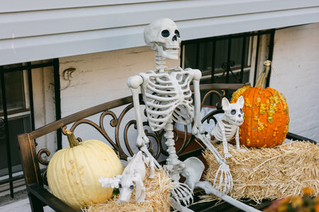 A skeleton and a small cat are placed on a bench with pumpkins and hay bales, creating an autumn Halloween scene.の写真素材