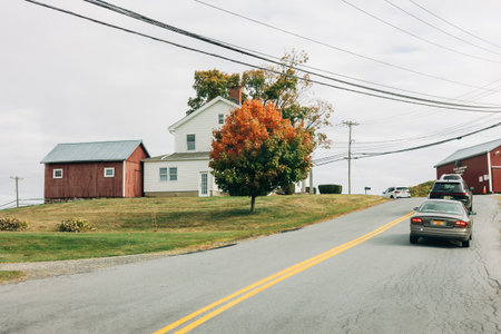 A vibrant tree displays autumn colors next to a house and parked cars on a winding country road during fall.の写真素材