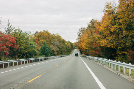 A car drives along a highway framed by vibrant autumn foliage on a cloudy day.