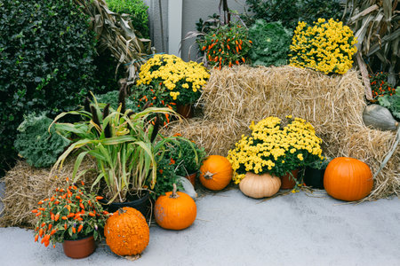 Bright orange pumpkins and yellow flowers decorate a welcoming autumn scene with hay bales in a garden area.の写真素材
